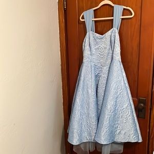 Size 16 Disney by Torrid Cinderella Dress for Halloween